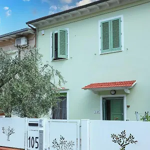 Ulivo Gaio , San Miniato Italia